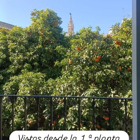 Apartamentos En La Plaza Dona Elvira, 7 塞维利亚 外观 照片