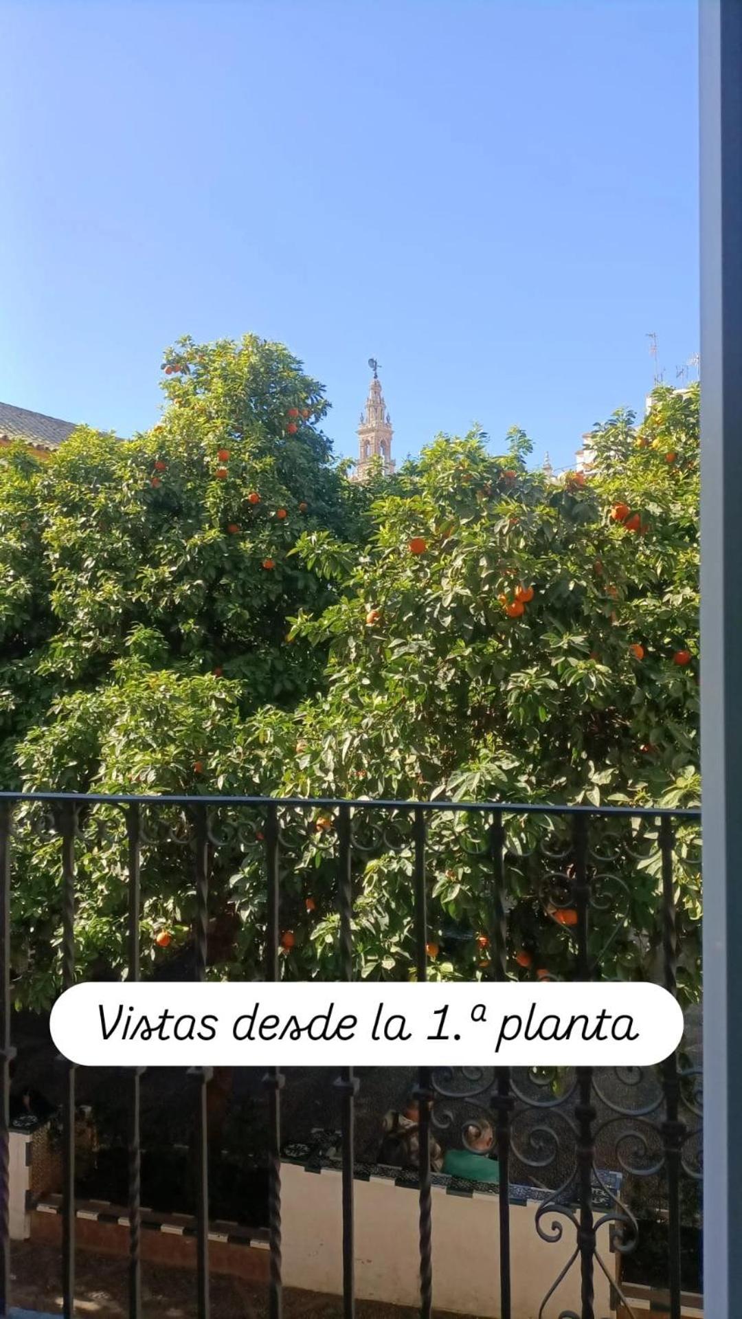 Apartamentos En La Plaza Dona Elvira, 7 塞维利亚 外观 照片