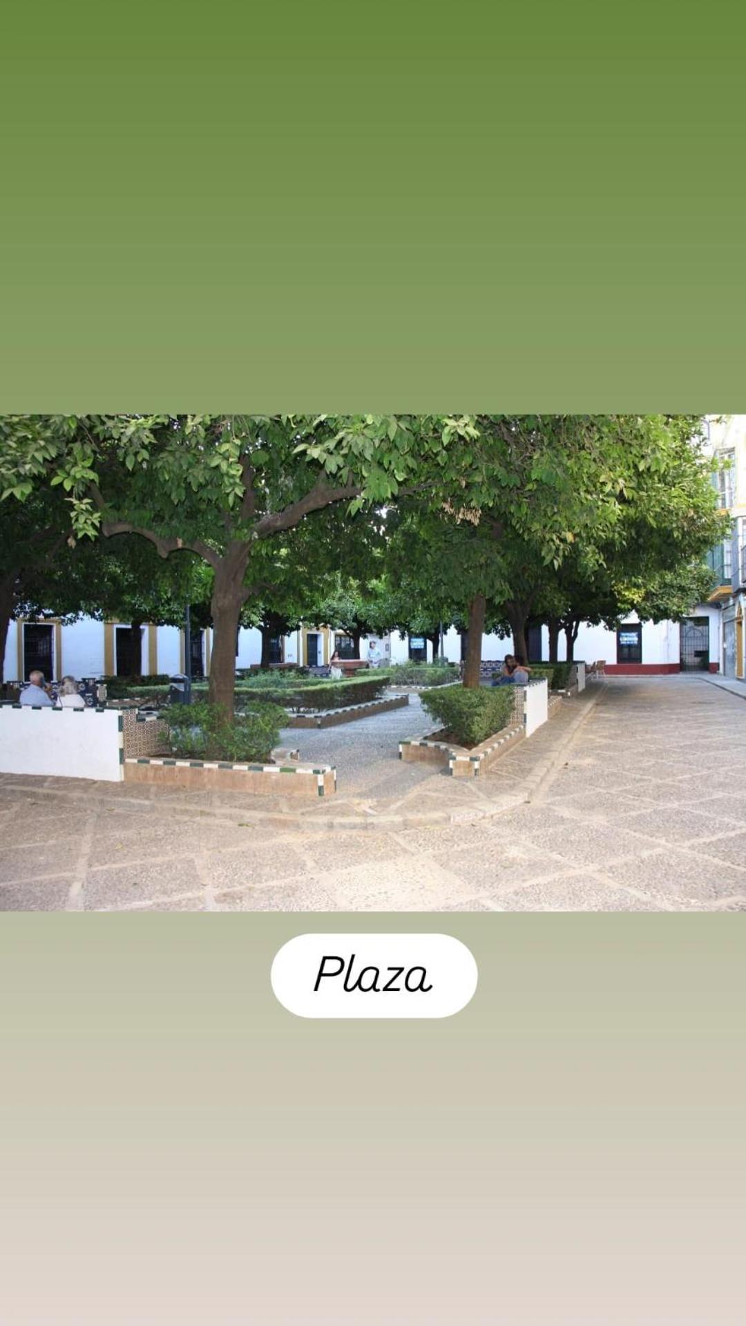 Apartamentos En La Plaza Dona Elvira, 7 塞维利亚 外观 照片