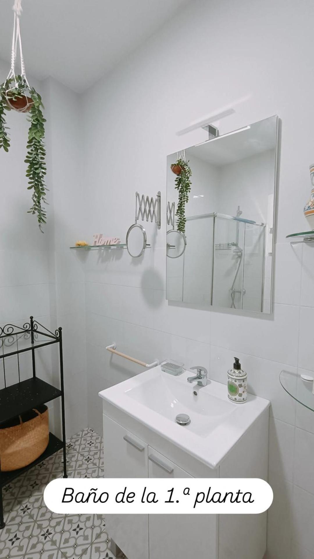 Apartamentos En La Plaza Dona Elvira, 7 塞维利亚 外观 照片