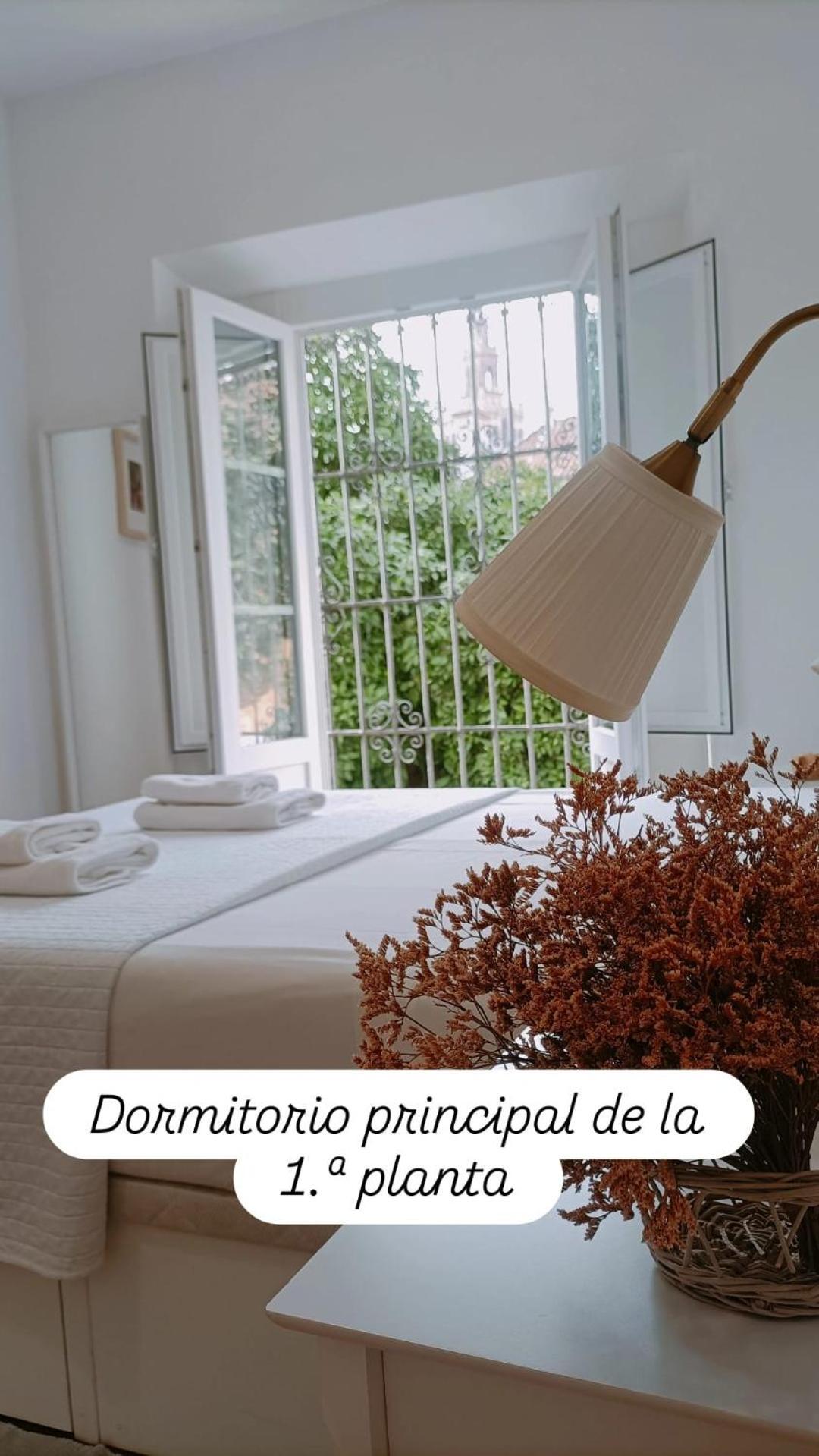 Apartamentos En La Plaza Dona Elvira, 7 塞维利亚 外观 照片